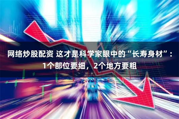 网络炒股配资 这才是科学家眼中的“长寿身材”：1个部位要细，2个地方要粗